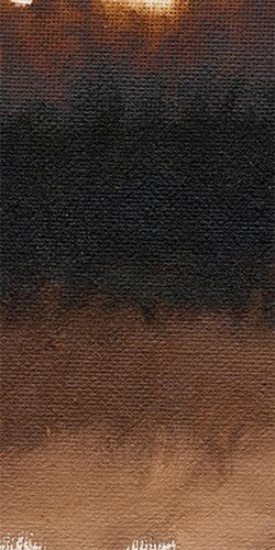 Dutch Brown (Transparent)