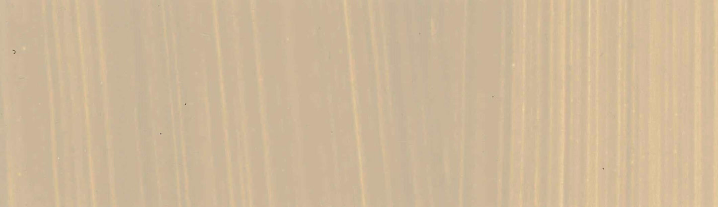 product image of Palest Buff Titanium