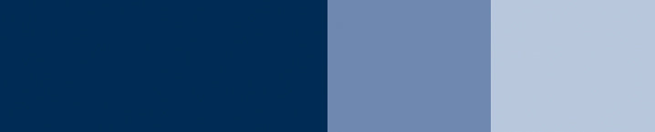 product image of Dark blue Indigo
