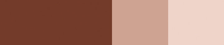 product image of Burnt Sienna