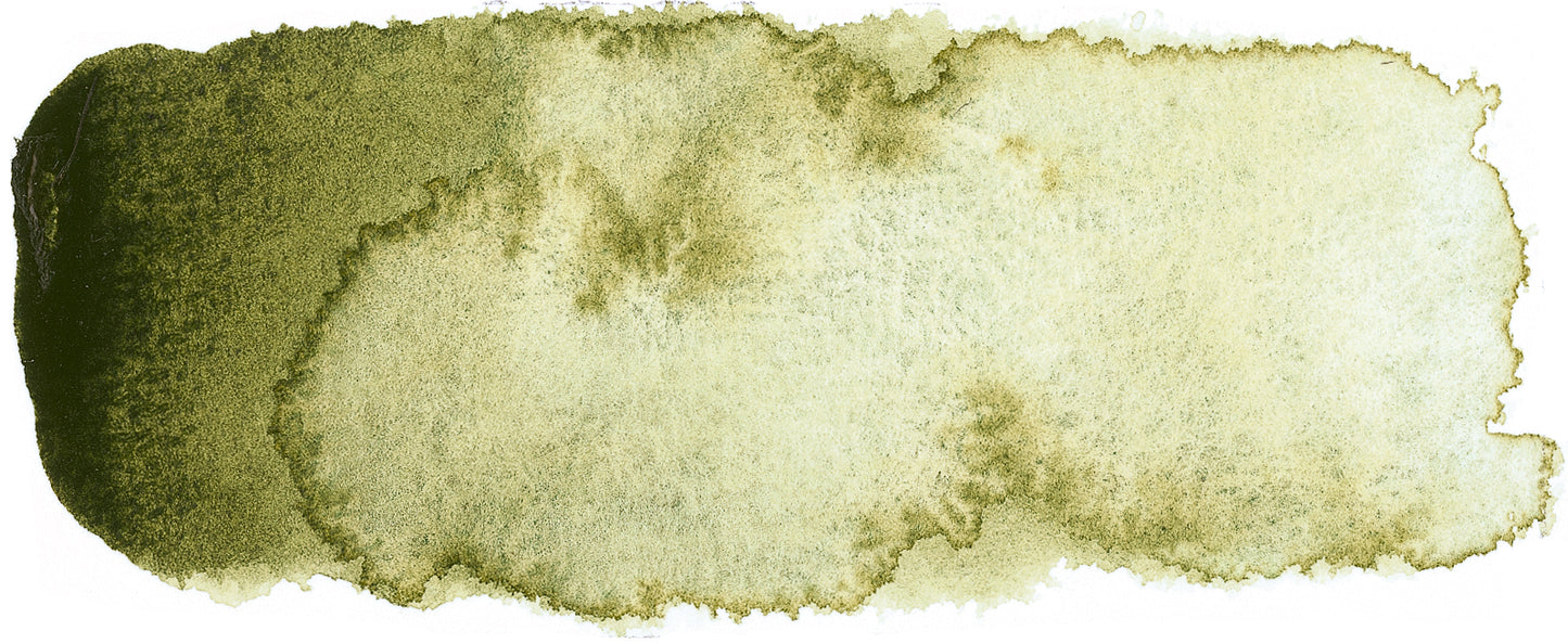 product image of Forest Olive