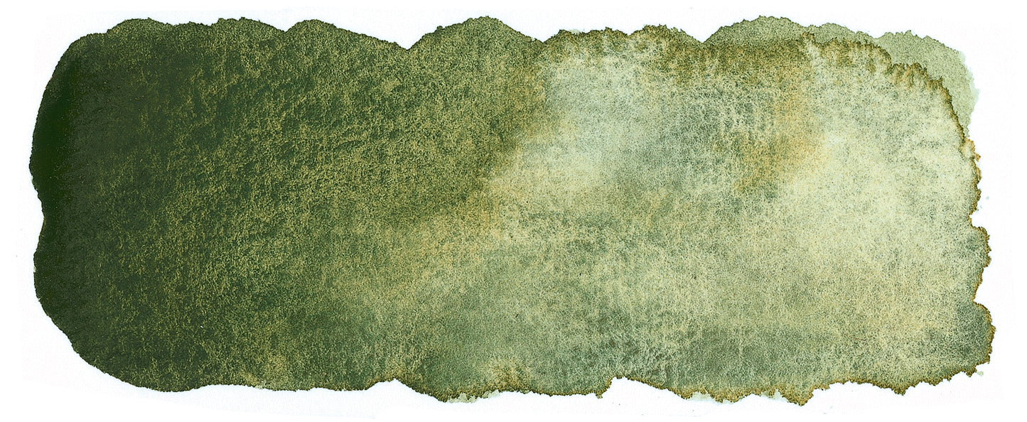 product image of Forest Brown