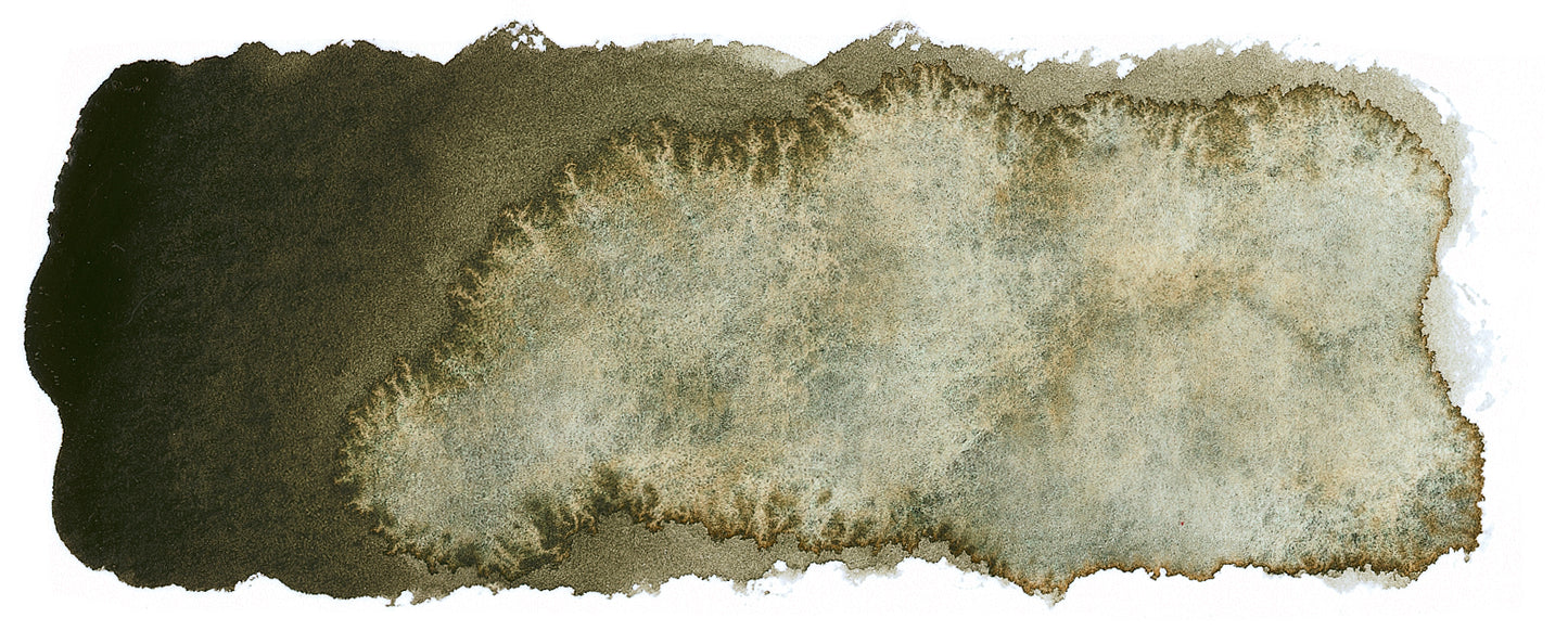 product image of Forest Grey