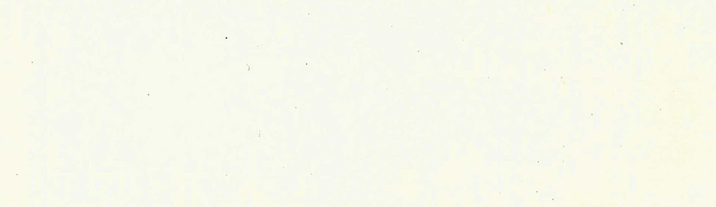product image of Brilliant Yellow