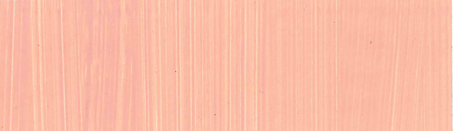 product image of Flesh Tint