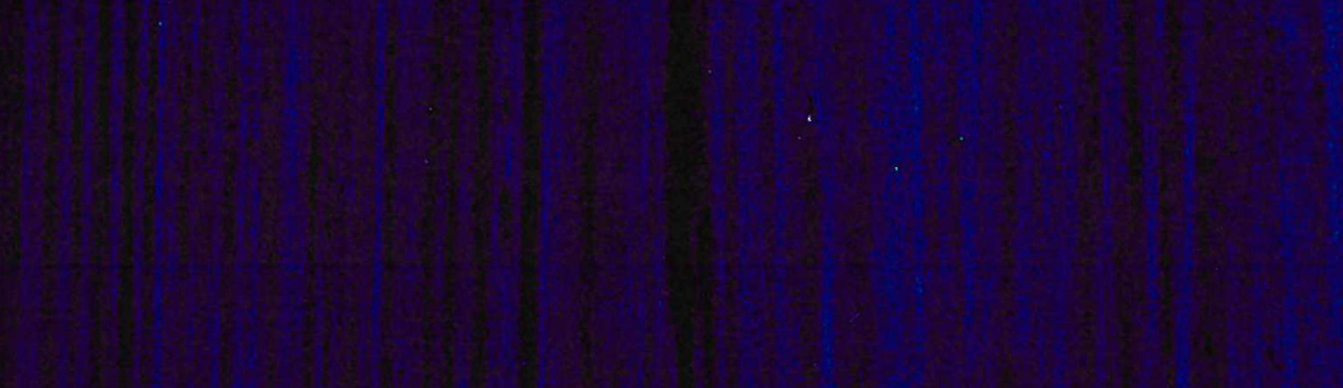 product image of Paris Blue