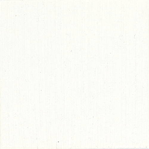 product image of Titanium White #1