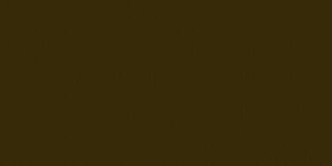 Burnt Umber 110ml