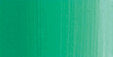 Compose green 60ML