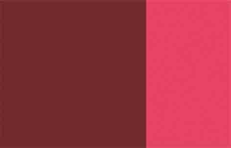 Quinacridone Red 40 mL