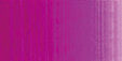 Luminous violet 60ML