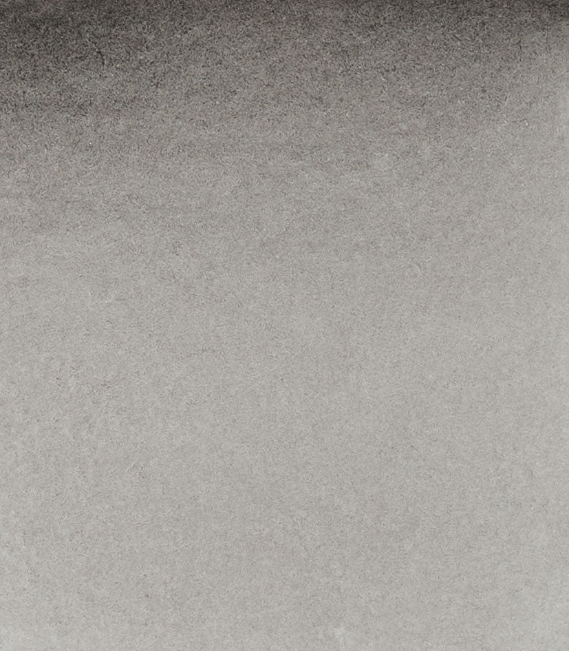 Neutral Grey