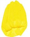 Primary Yellow