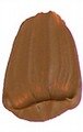 Raw Sienna