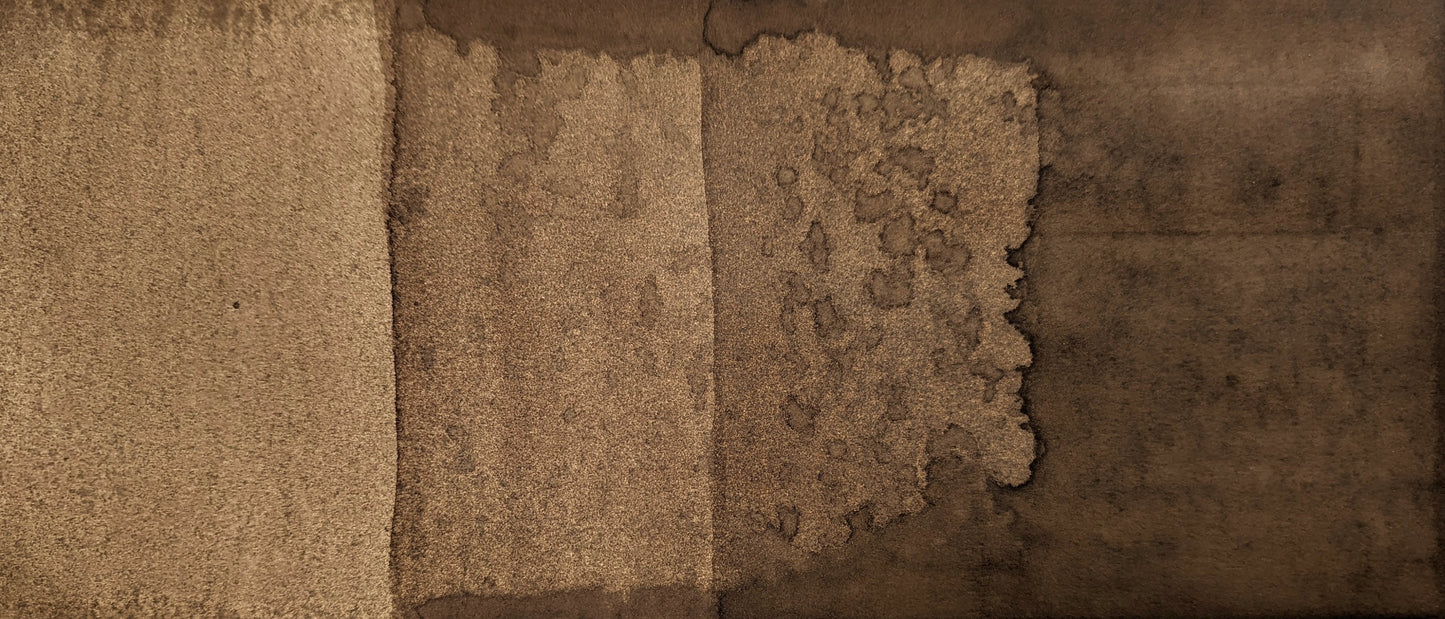product image of Samuel Prout
