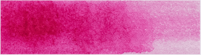 product image of Opera Rose