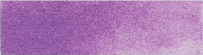product image of Wisteria