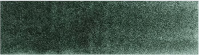 product image of Forest Green