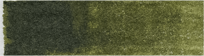 product image of Olive Green