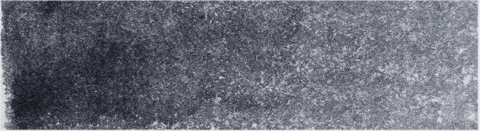 product image of Neutral tint