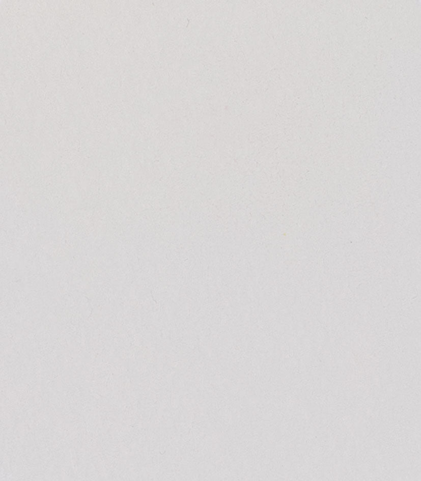 Titanium Opaque White