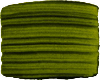 Sap Green  40ml