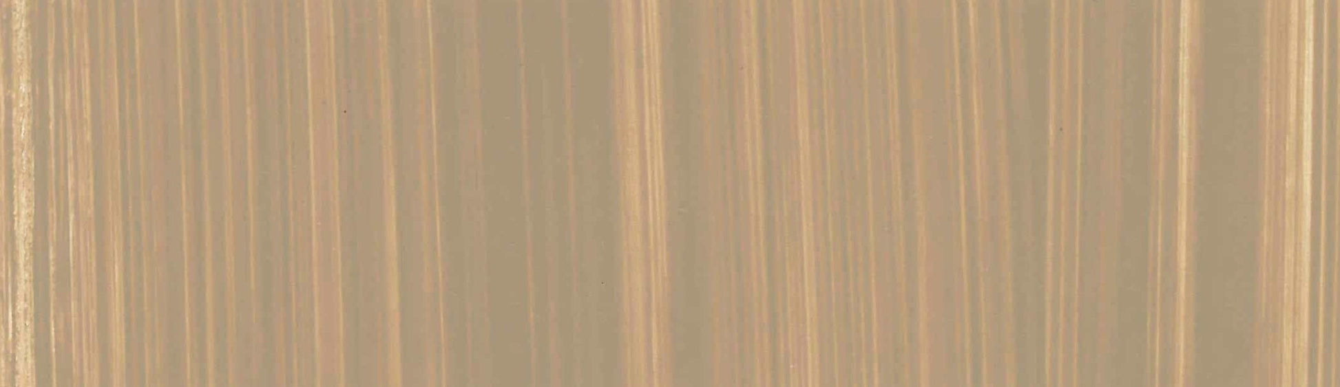 product image of Buff Titanium