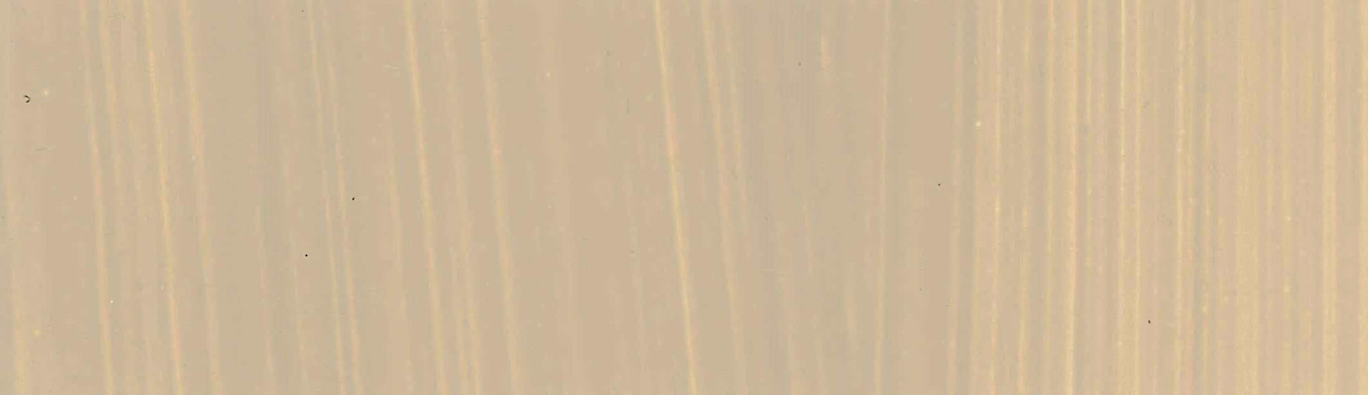 product image of Palest Buff Titanium