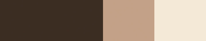 product image of Burnt Umber