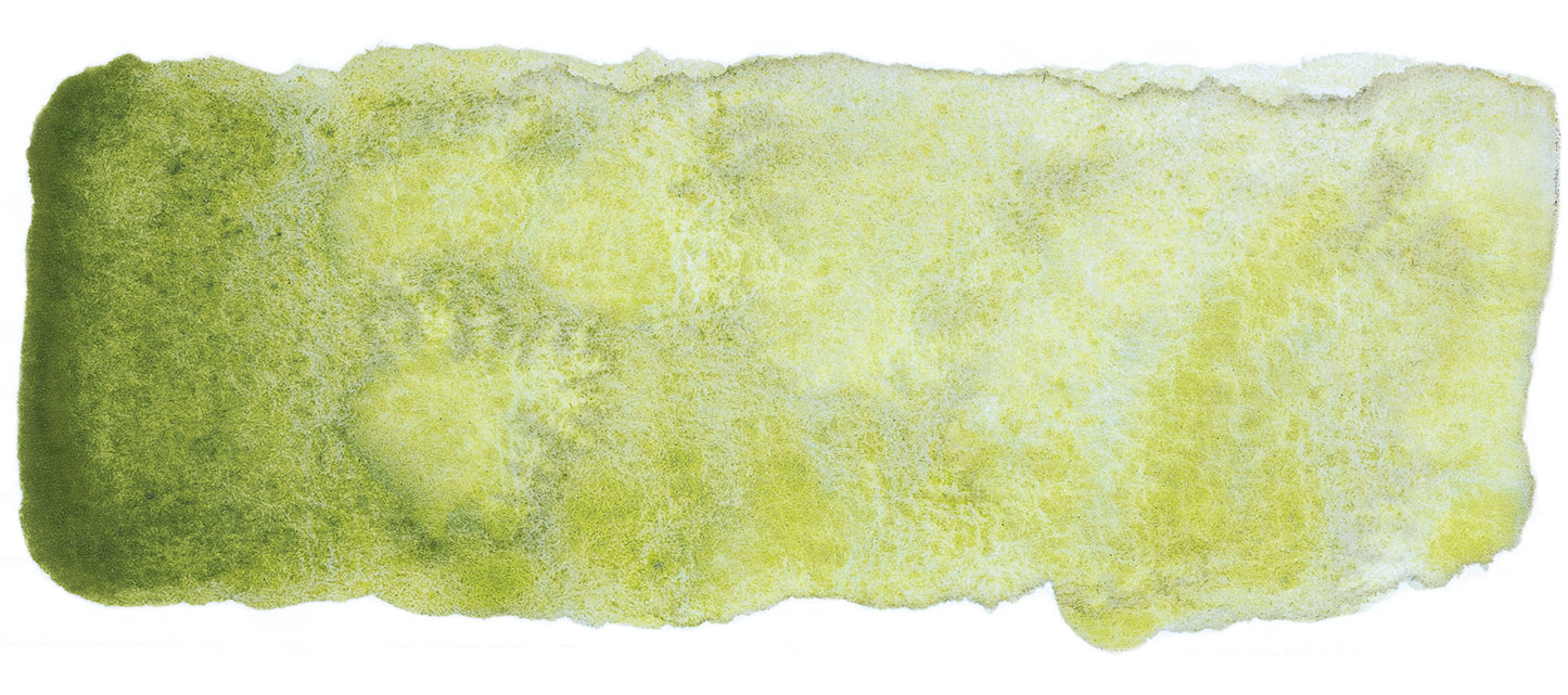 product image of Shire Olive