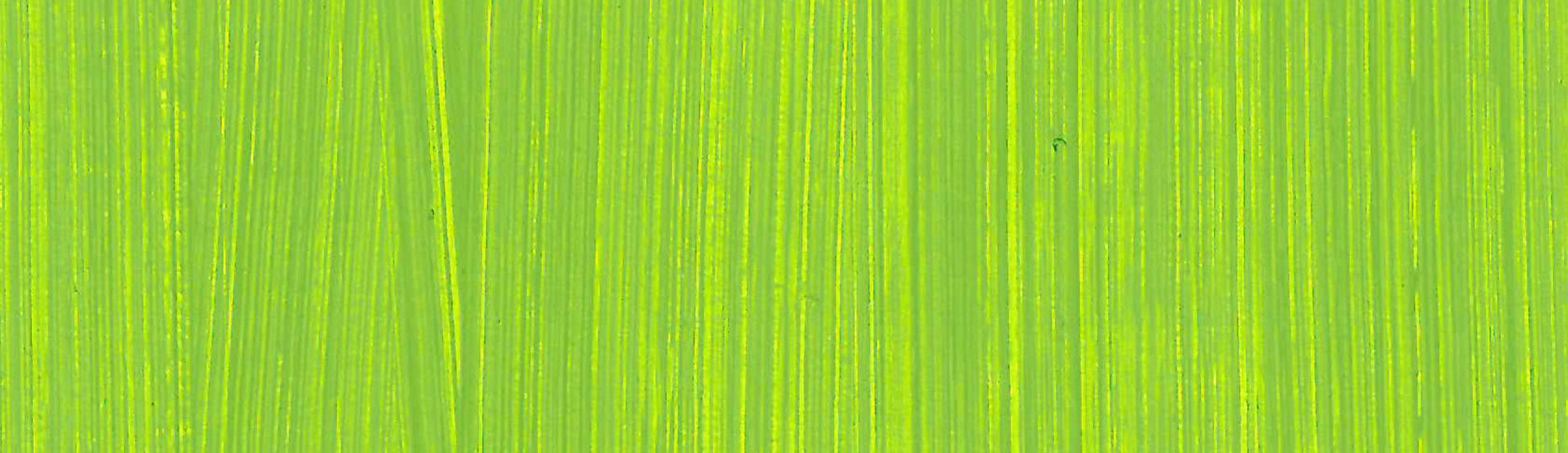 product image of Cadmium-Chromium Green Lightest