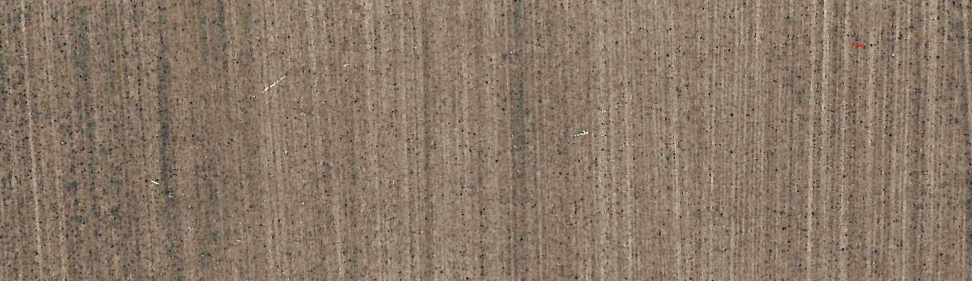 product image of Davy's Grey
