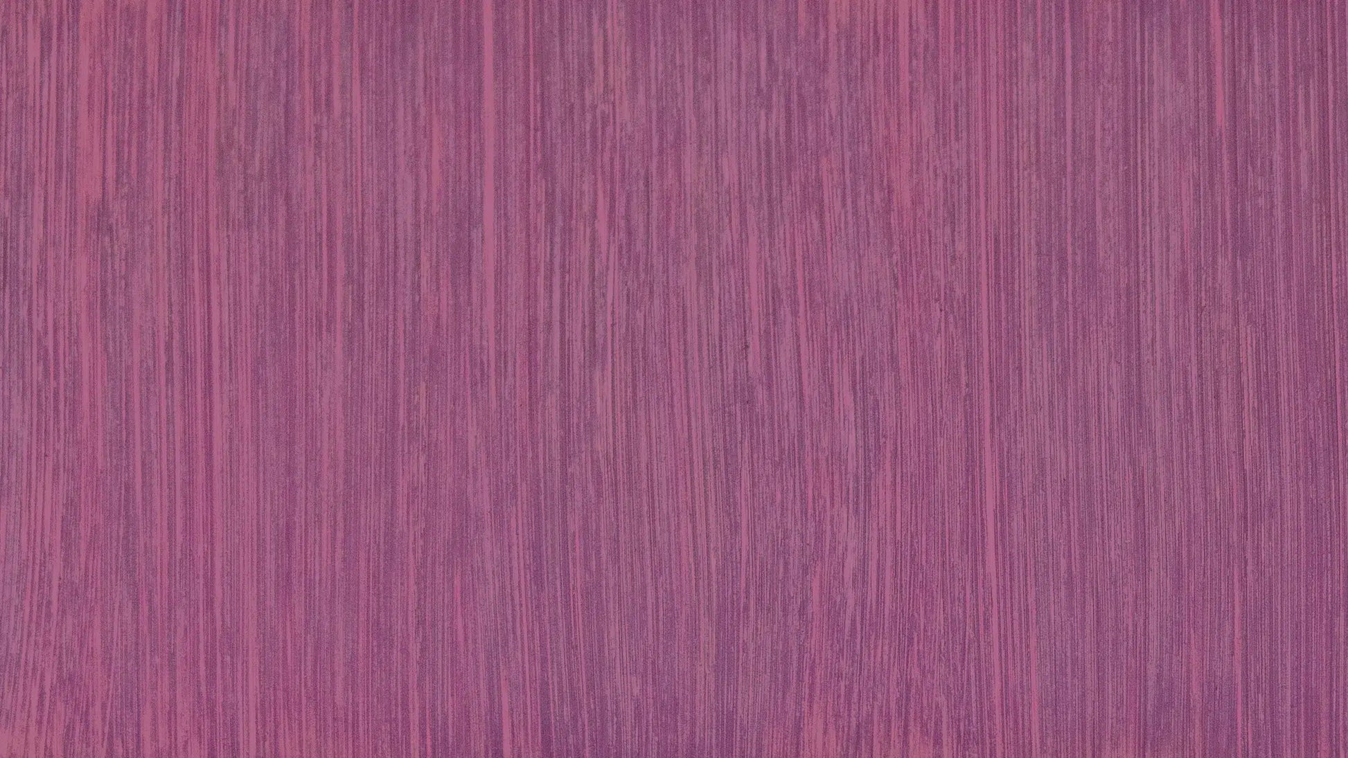 product image of Wisteria