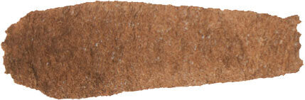 Burnt Sienna 15ml