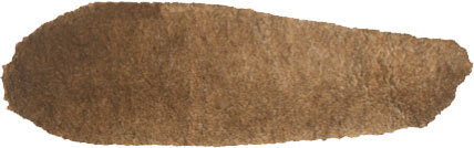 Burnt Umber 15ml