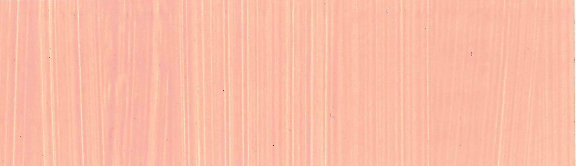 product image of Flesh Tint