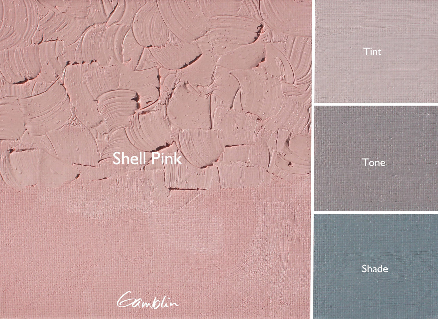 Shell Pink