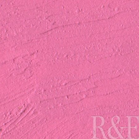 Dianthus Pink