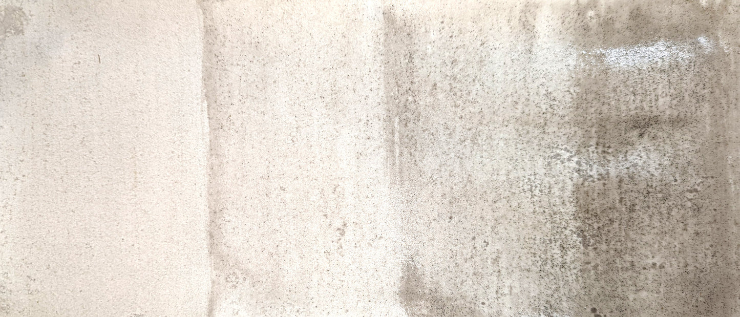 product image of Genuine Sepia