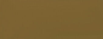 Raw Umber