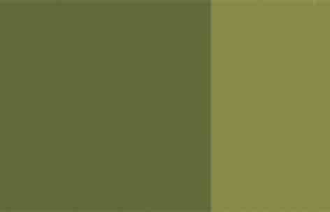 Terre verte opaque  40 mL