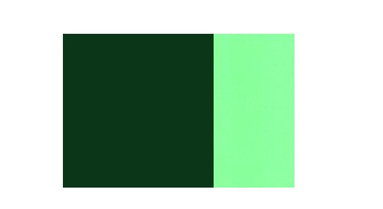 Cadmium green deep  40 mL
