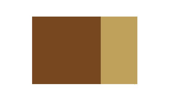 Gold ochre 40 mL