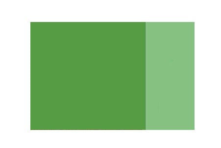 Green grey  40 mL