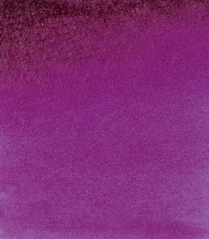 Quinacridone Purple