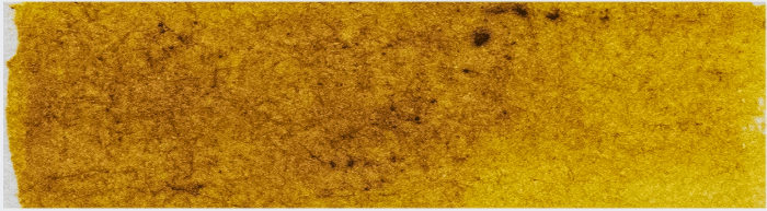 product image of New Gamboge
